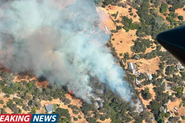 North Auburn Vegetation Fire Triggers Evacuations Before Firefighters Contain Flames